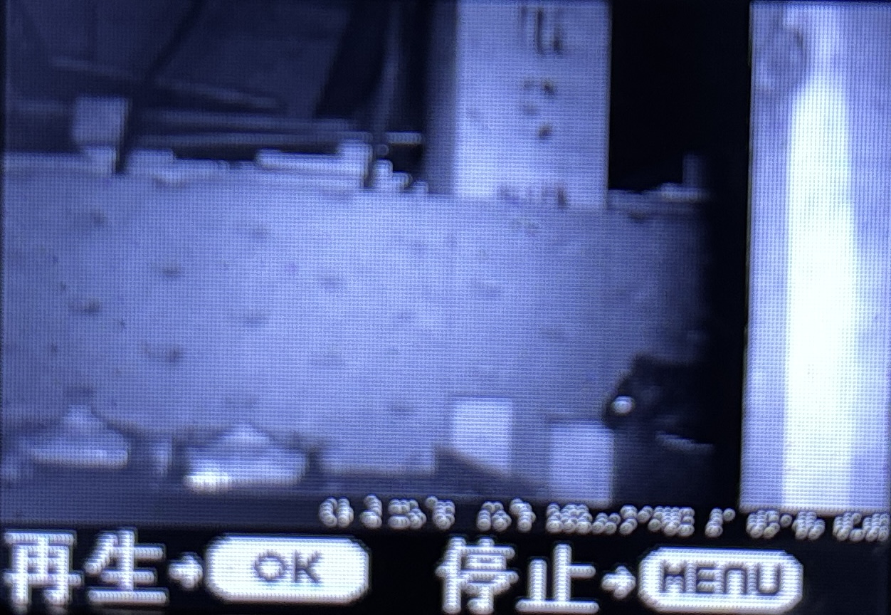 ネズミ駆除【鴻巣市】