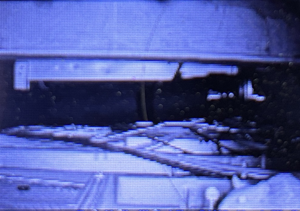 ネズミ駆除とか【熊谷市】