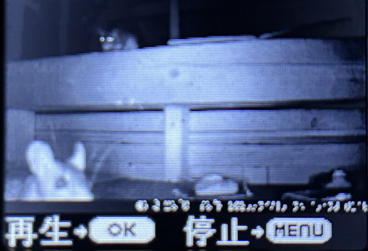 キクイムシ防除とか【深谷市とか】