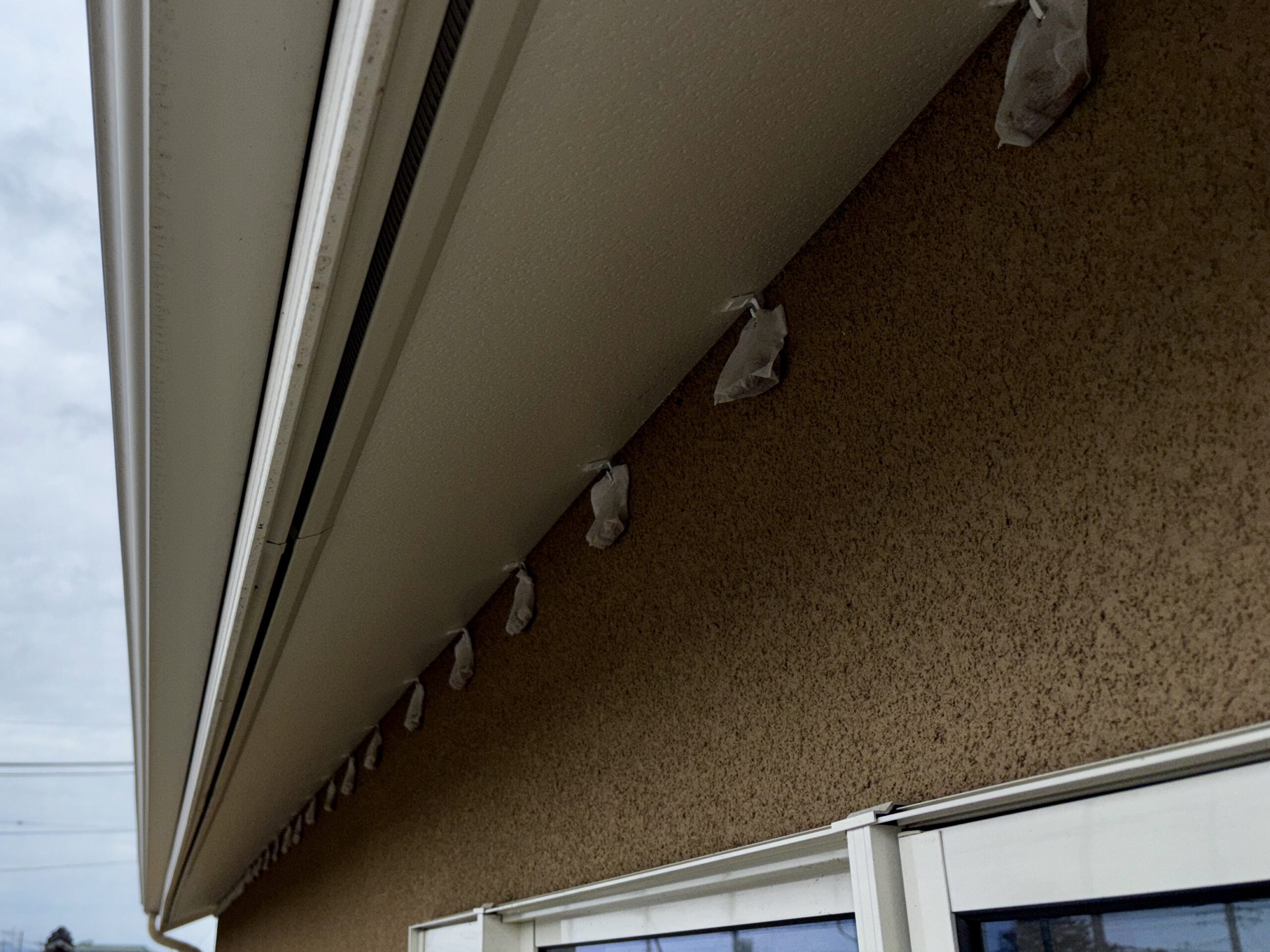 コウモリ対策・ネズミ駆除【熊谷市】