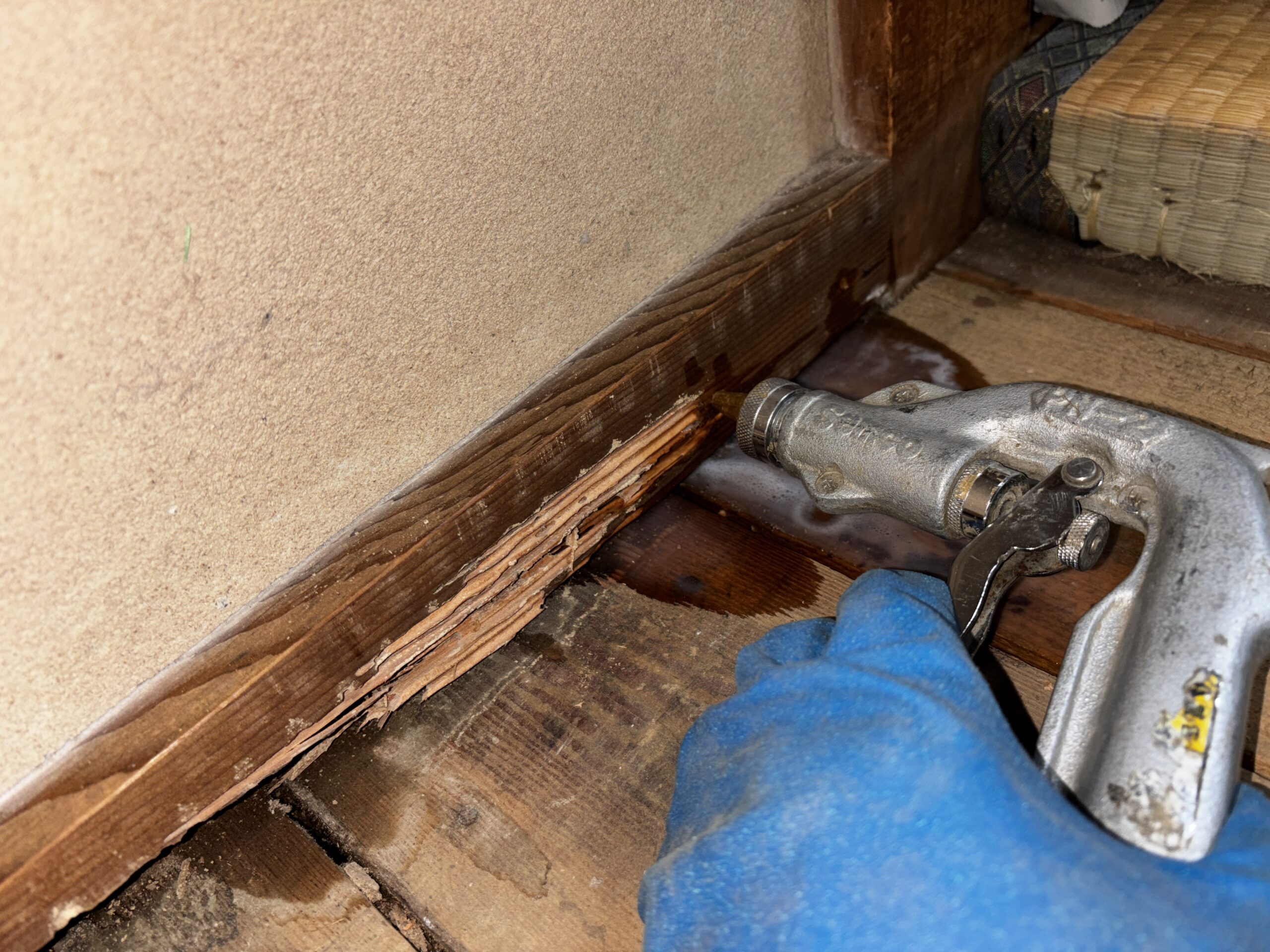 シロアリ駆除【蓮田市】