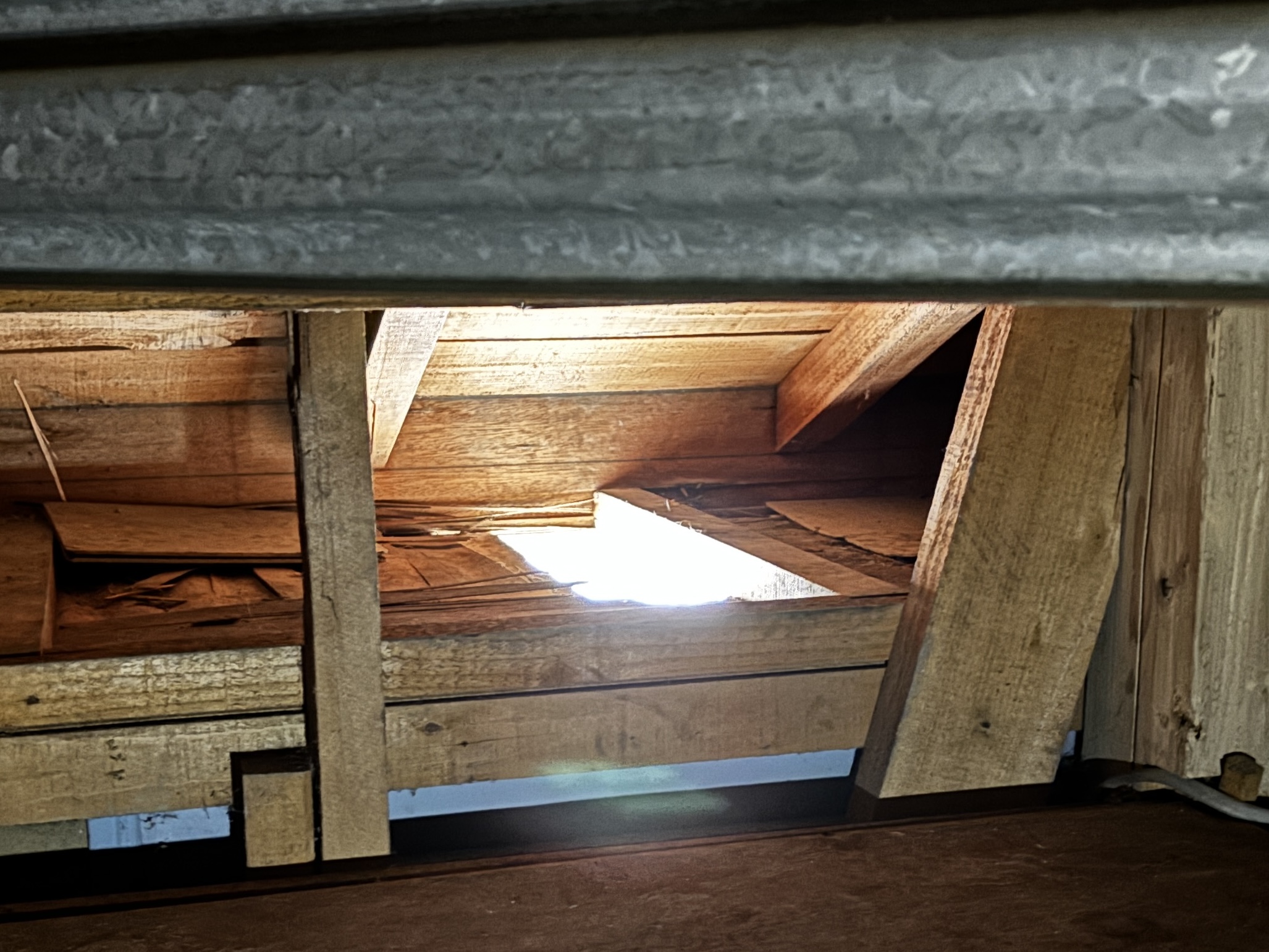 ネズミ駆除など【鴻巣市など】