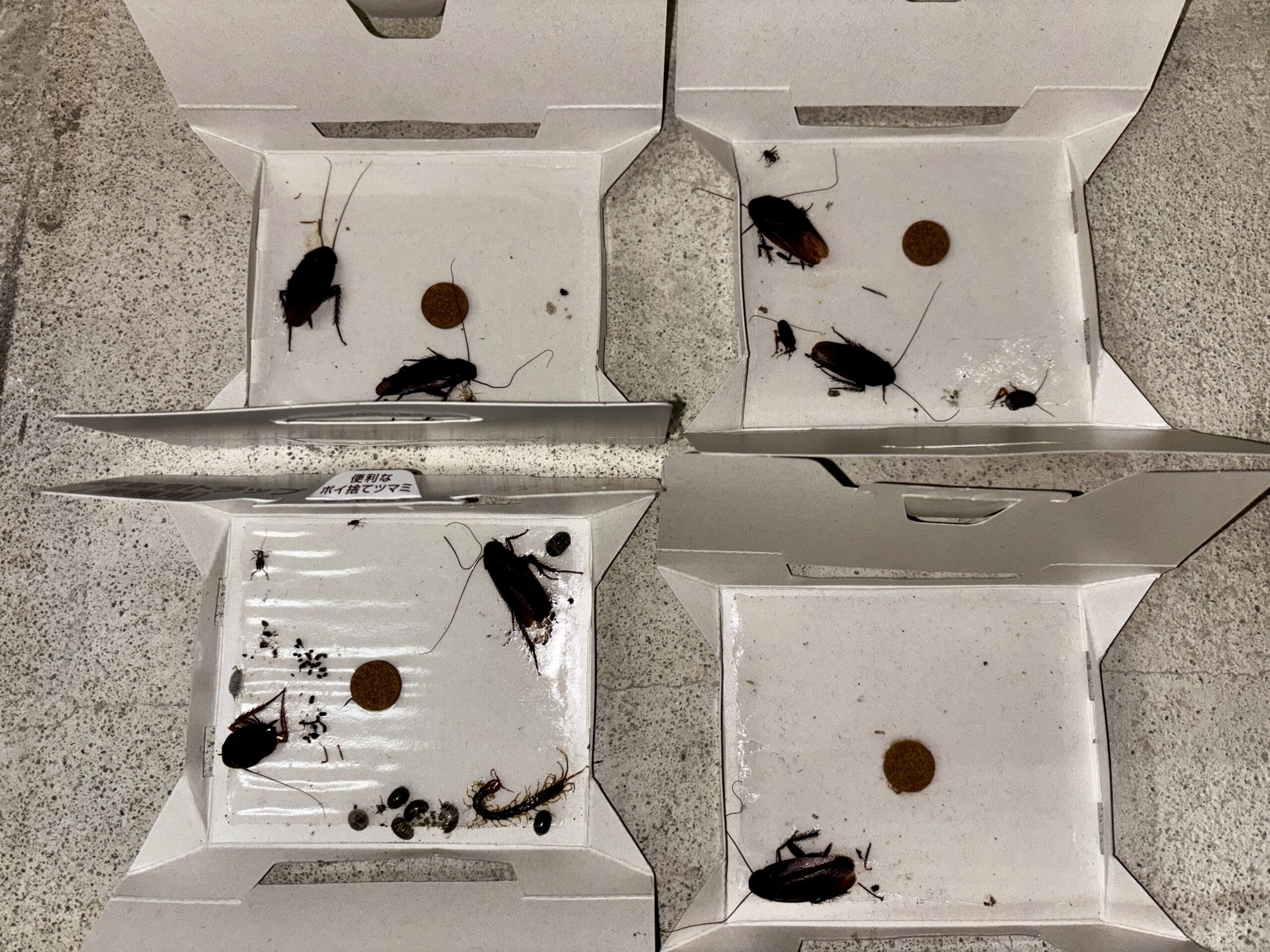 ネズミ対策など【熊谷市】