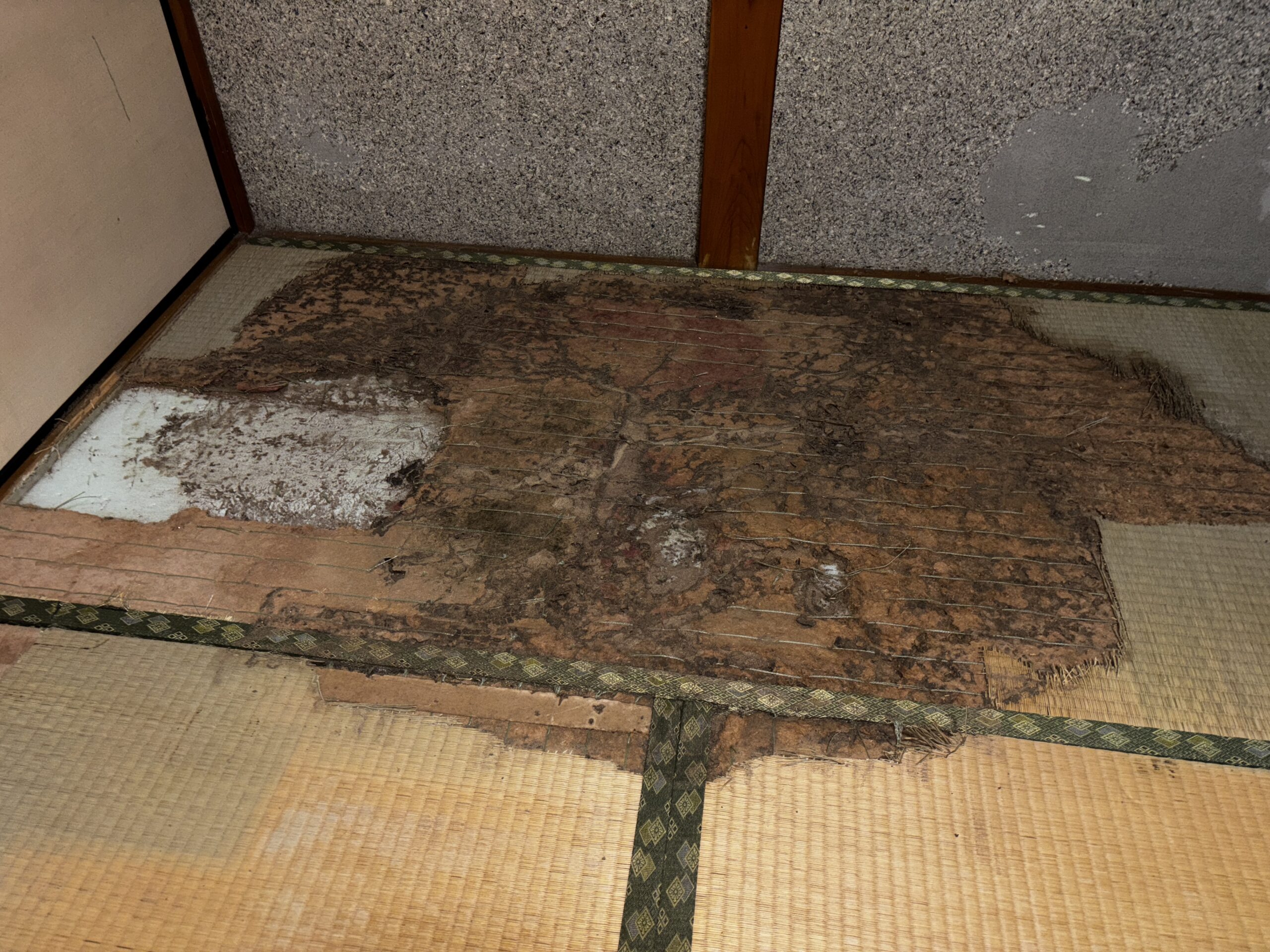 シロアリ調査など【加須市】