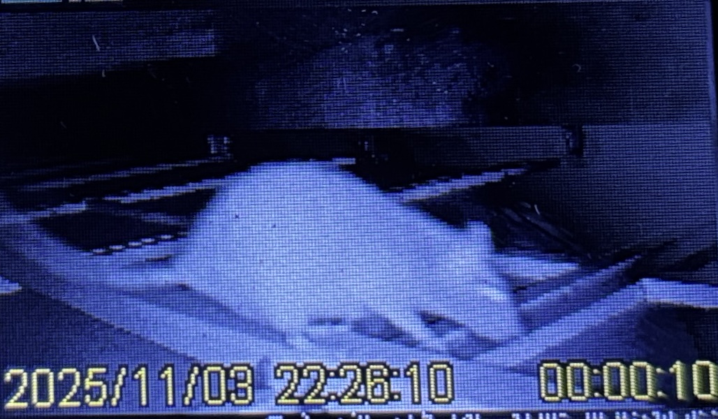 ネズミ駆除など【鴻巣市】