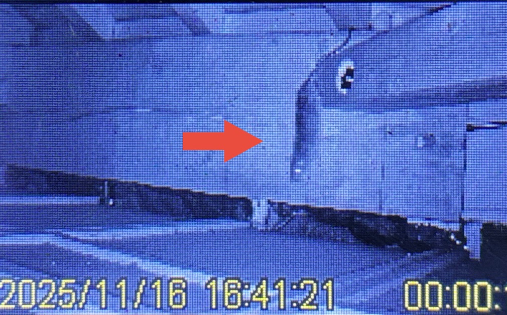 ネズミ駆除など【鴻巣市など】