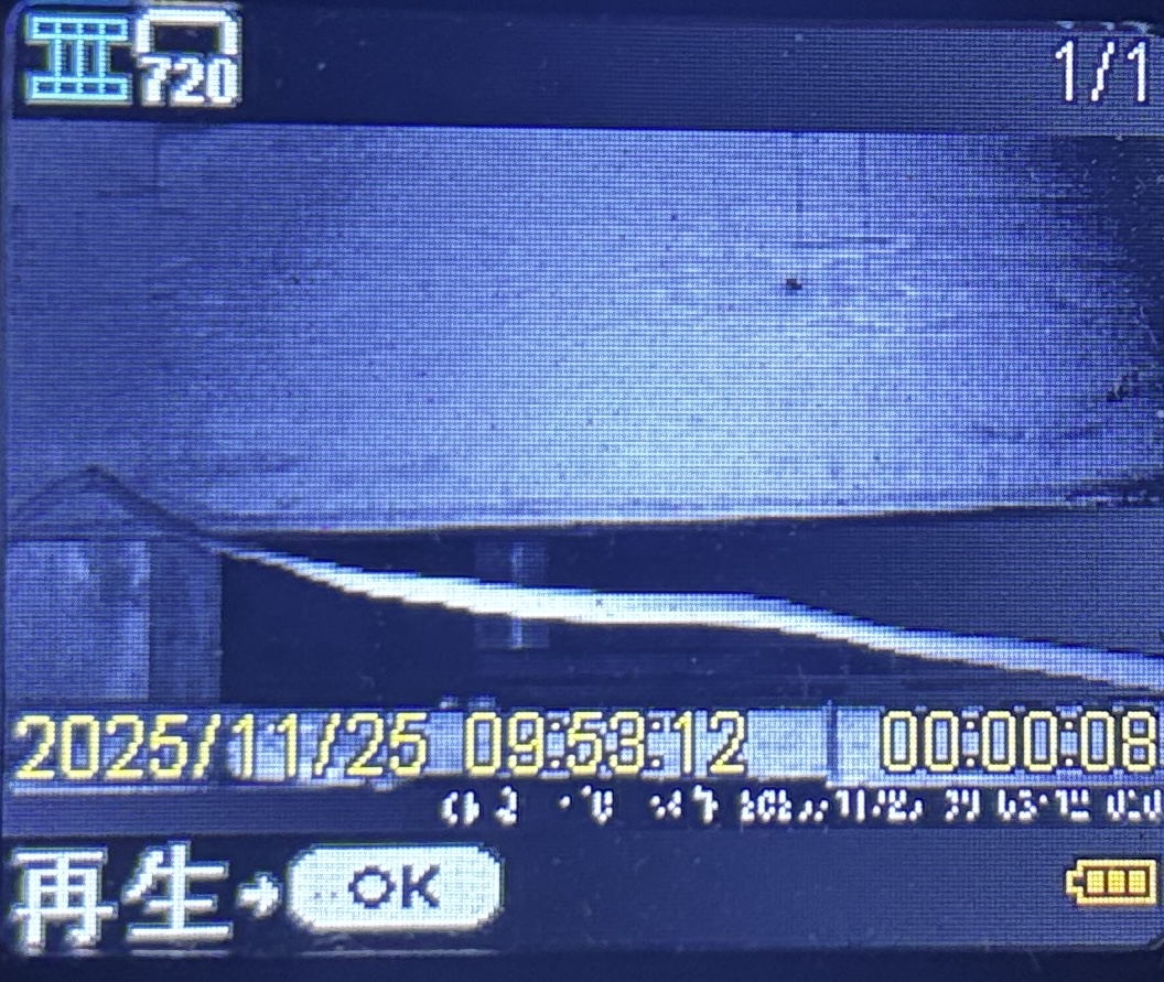 ネズミ駆除【熊谷市】
