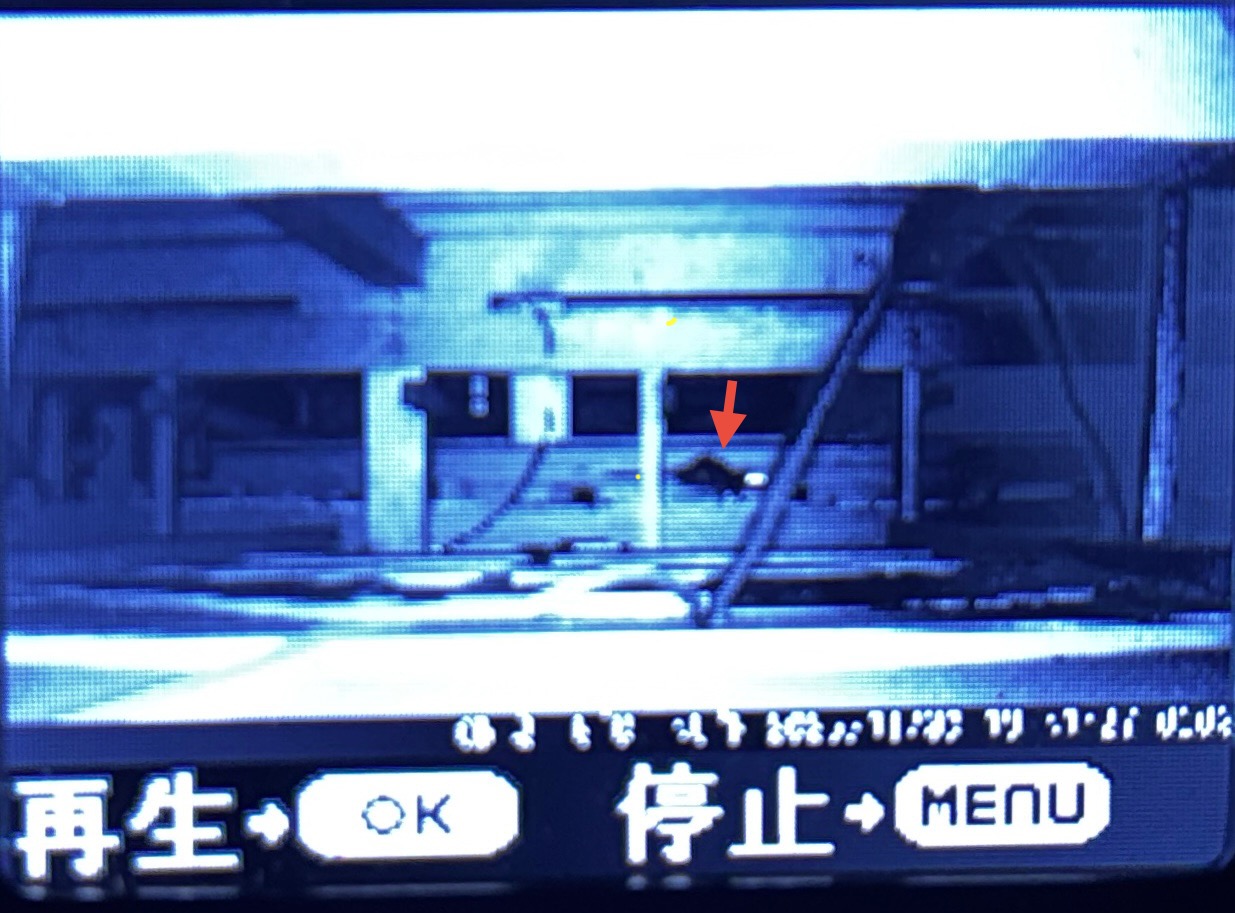 ネズミ駆除【鴻巣市)