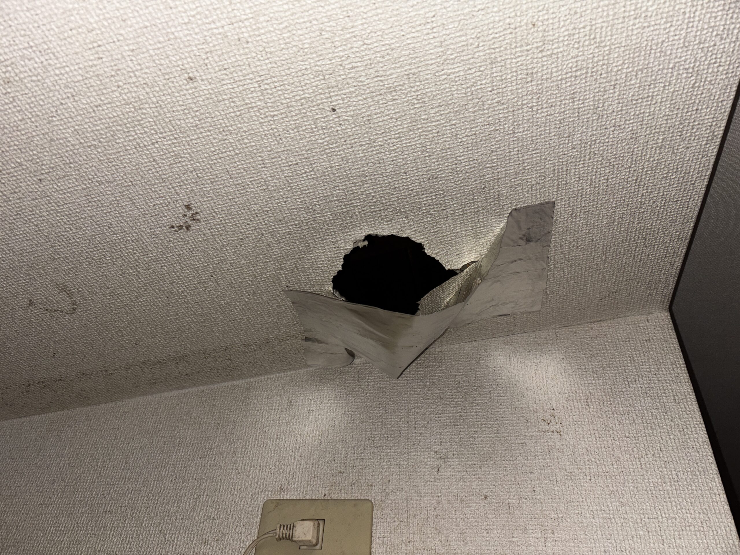 ネズミ駆除など【滑川町など】