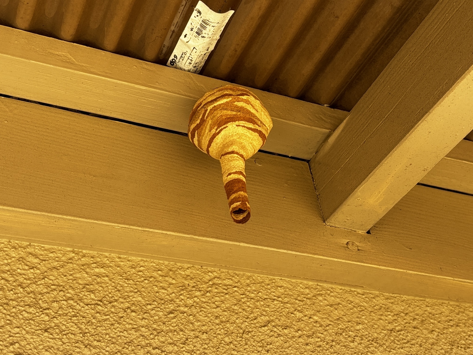 スズメバチ巣駆除