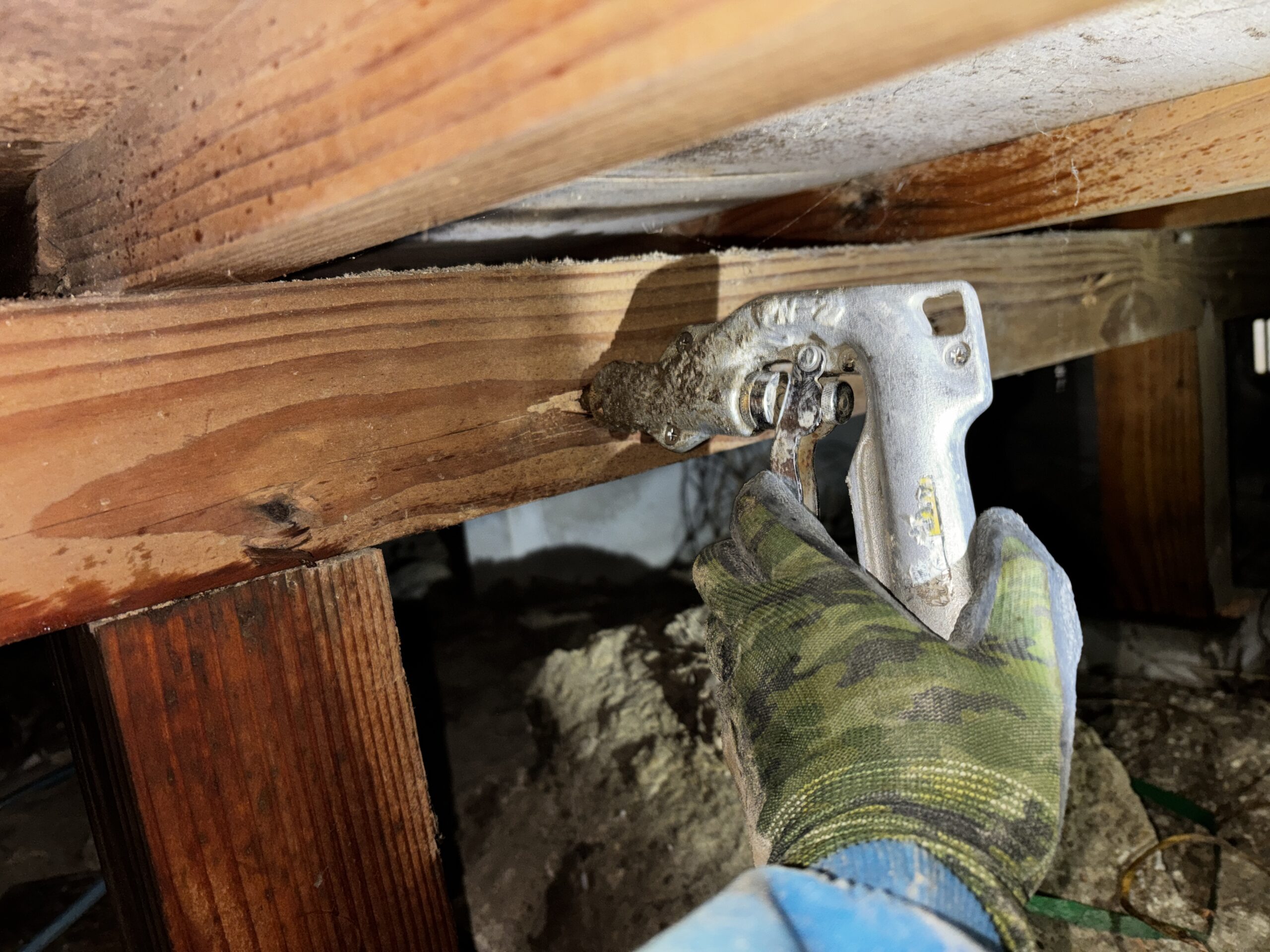 シロアリ防除施工