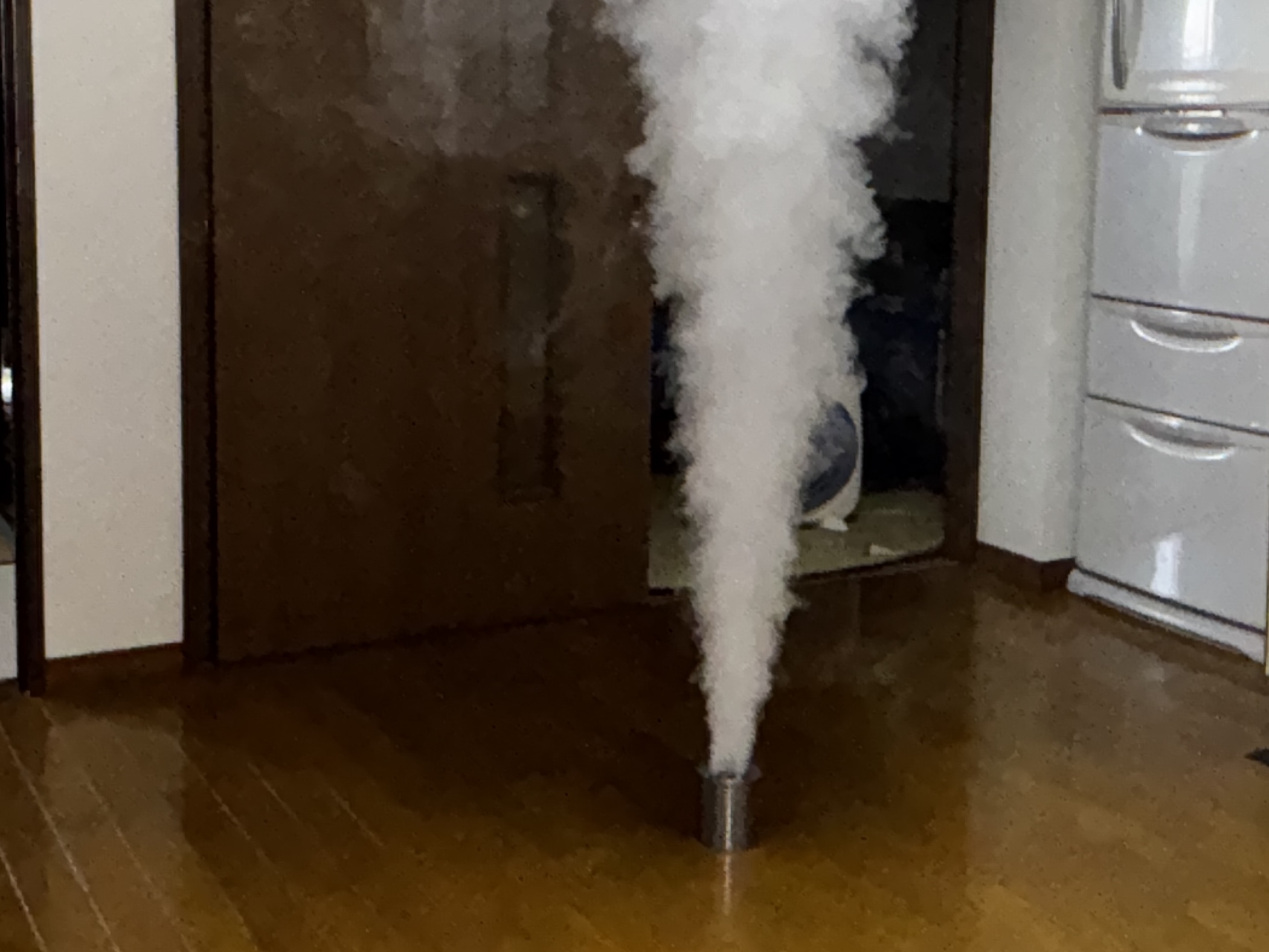 とにかく忙しいの