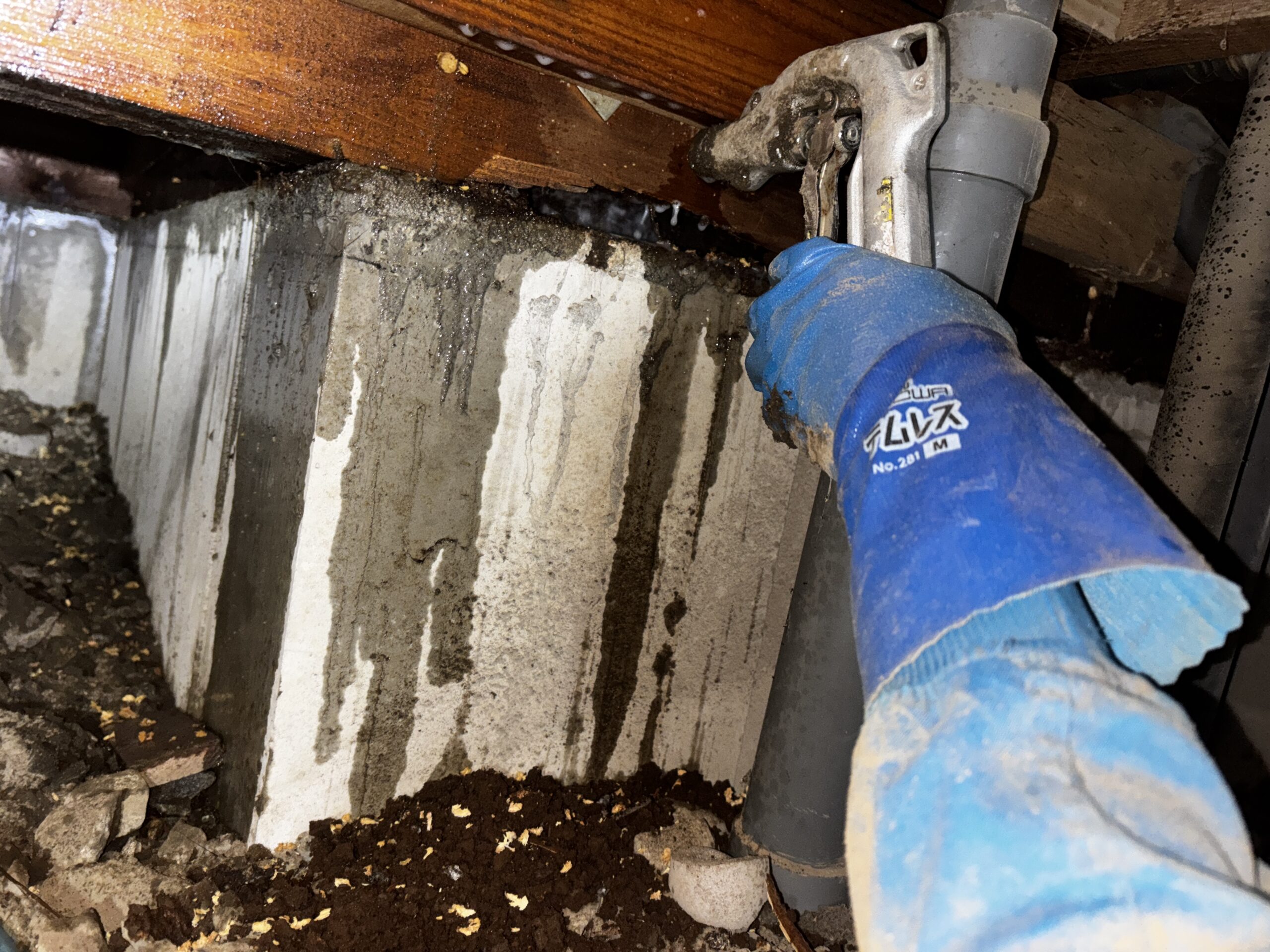 ネズミ駆除など