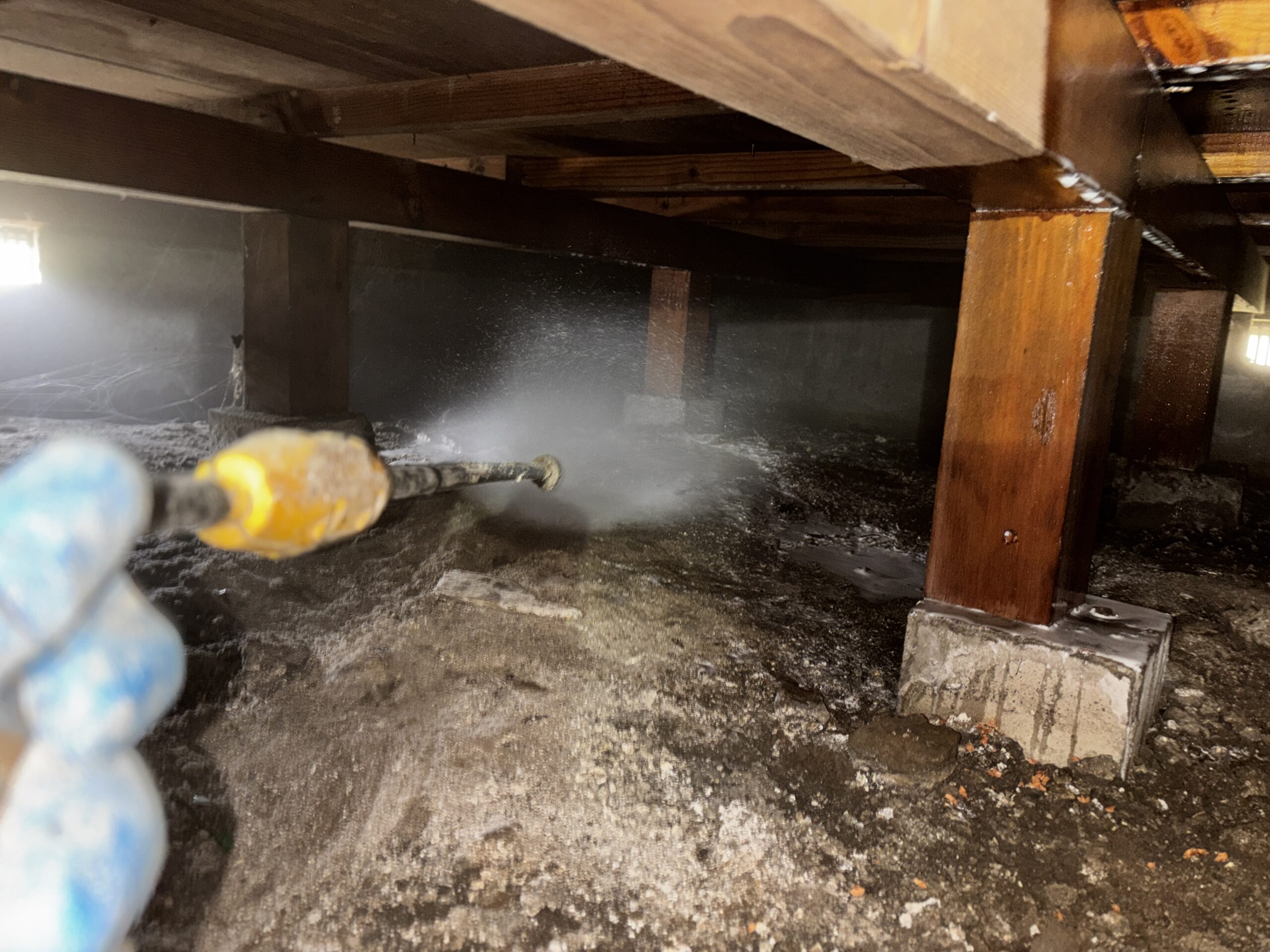 シロアリ駆除など