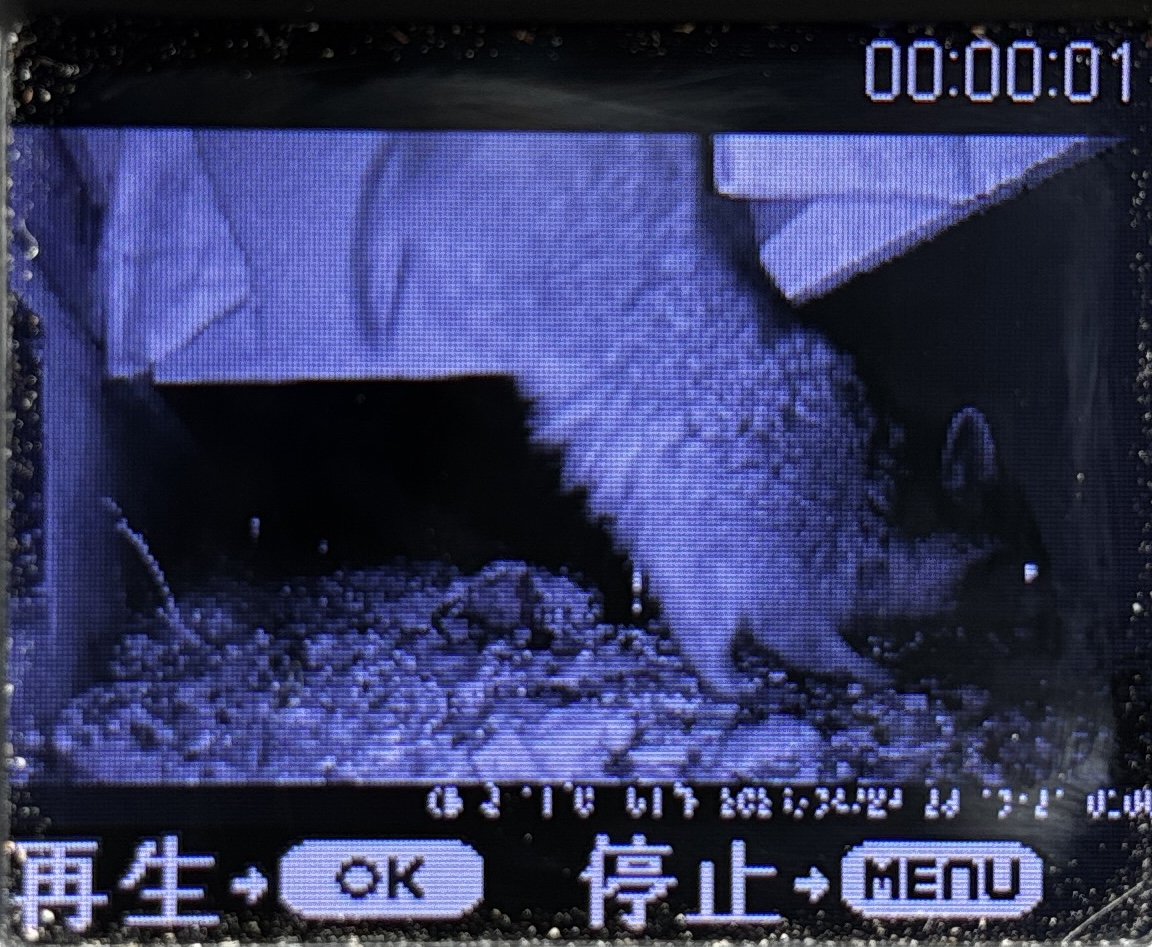 アライグマ対策など