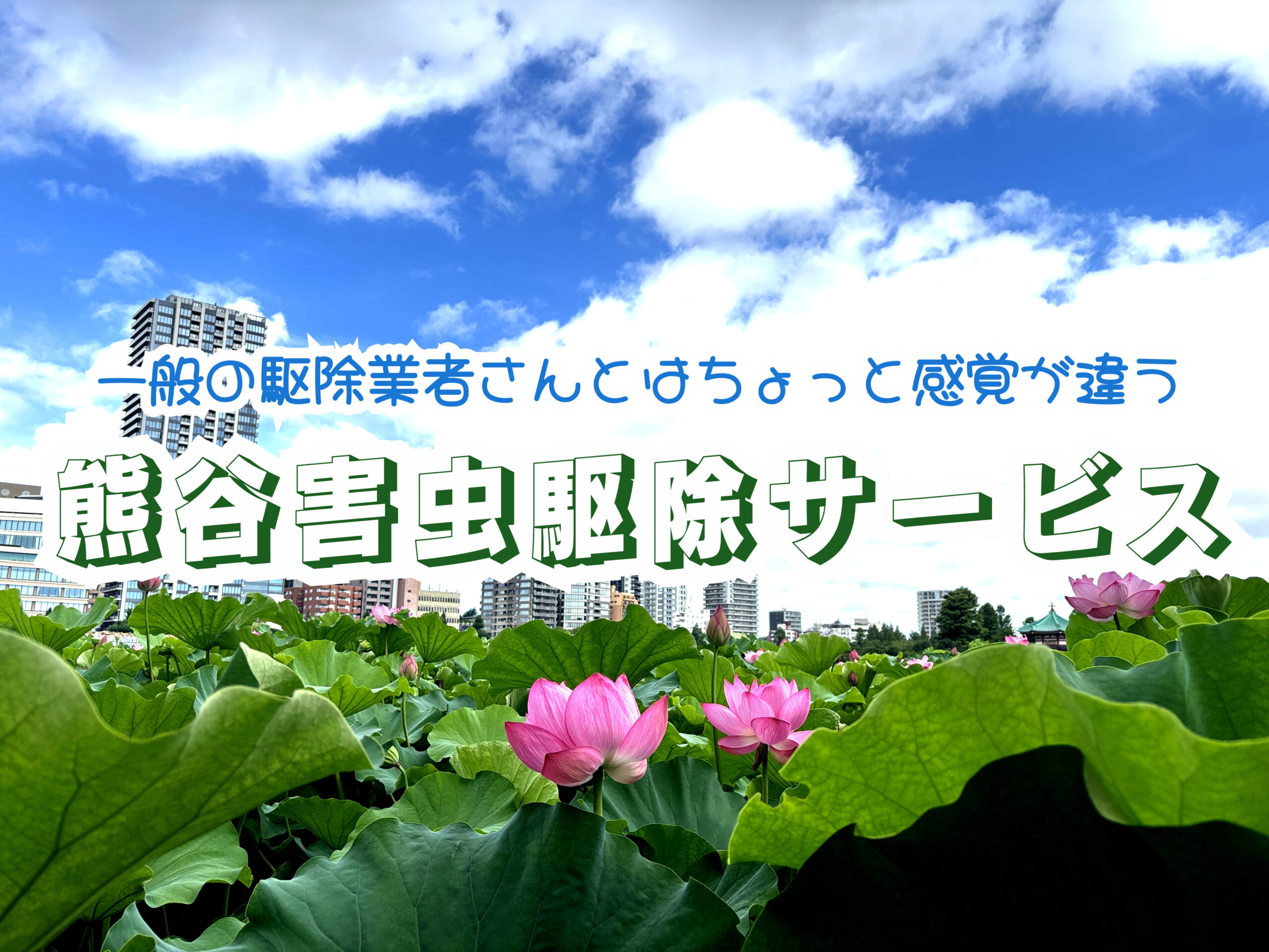 ブログ引っ越しましたの